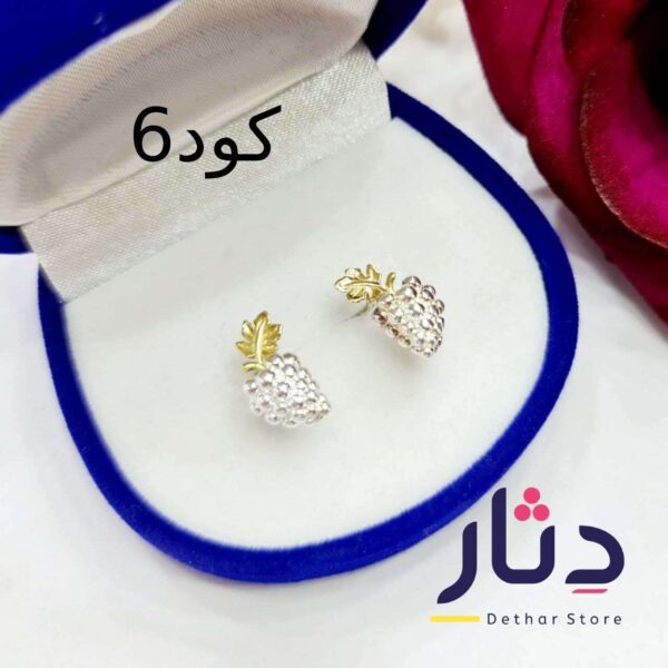 اشكال حلقان فضة